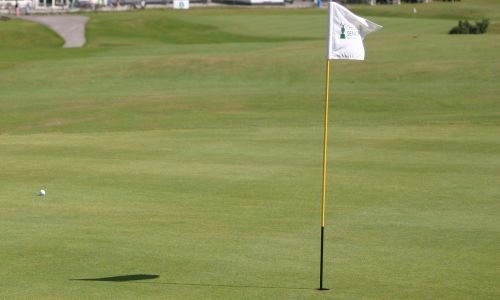Green Fees